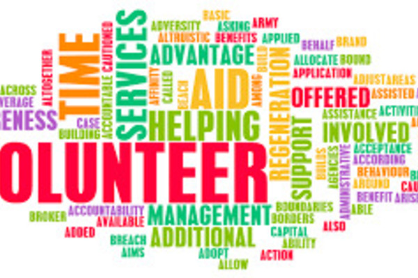 Small tasks, big impact: 4 ways volunteers can make a big difference at the Safe Shelter
